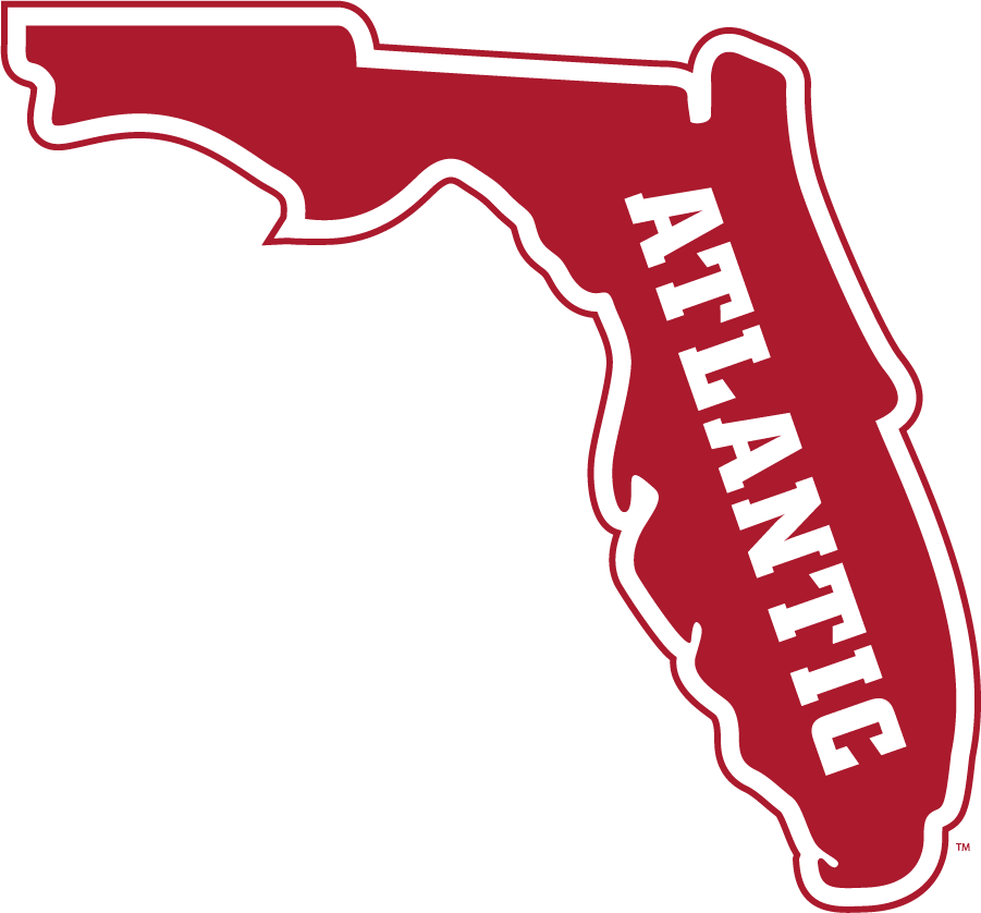 Florida Atlantic Owls 2015-Pres Secondary Logo v2 t shirts iron on transfers
